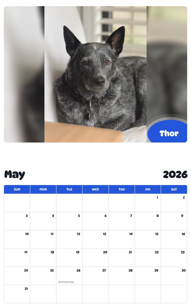 2026 - 2027 Thor - Pawidols Pet Calendar