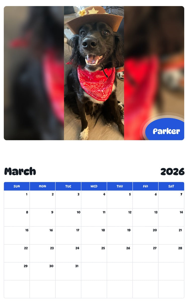 November 2025 - October 2026 Parker - Pawidols Pet Calendar