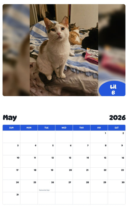 2026 - 2027 Lil B - Pawidols Pet Calendar