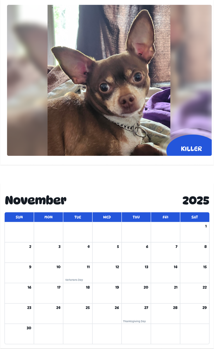 July 2025 - June 2026 Killer - Pawidols Pet Calendar