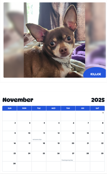 July 2025 - June 2026 Killer - Pawidols Pet Calendar
