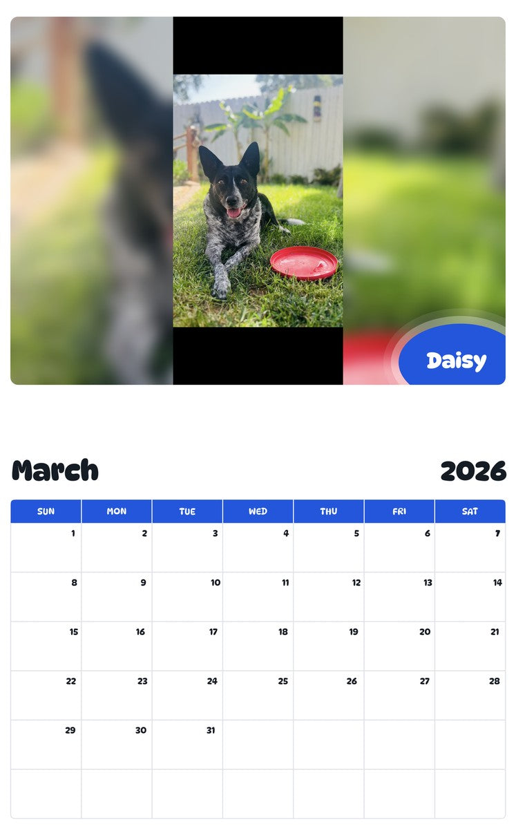 November 2025 - October 2026 Daisy - Pawidols Pet Calendar