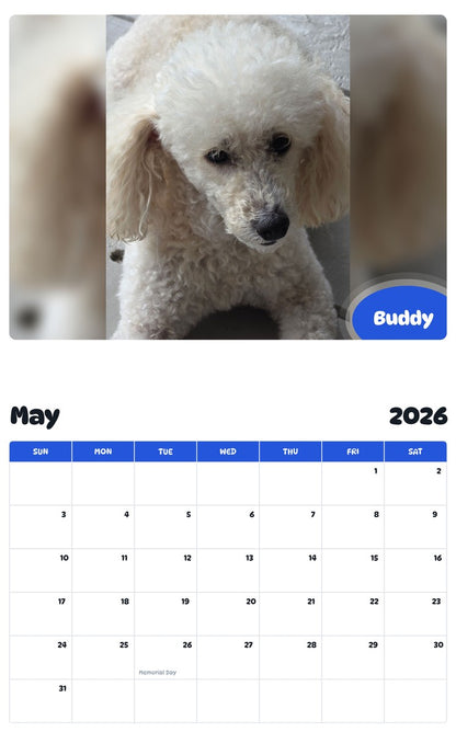 2026 - 2027 Buddy - Pawidols Pet Calendar