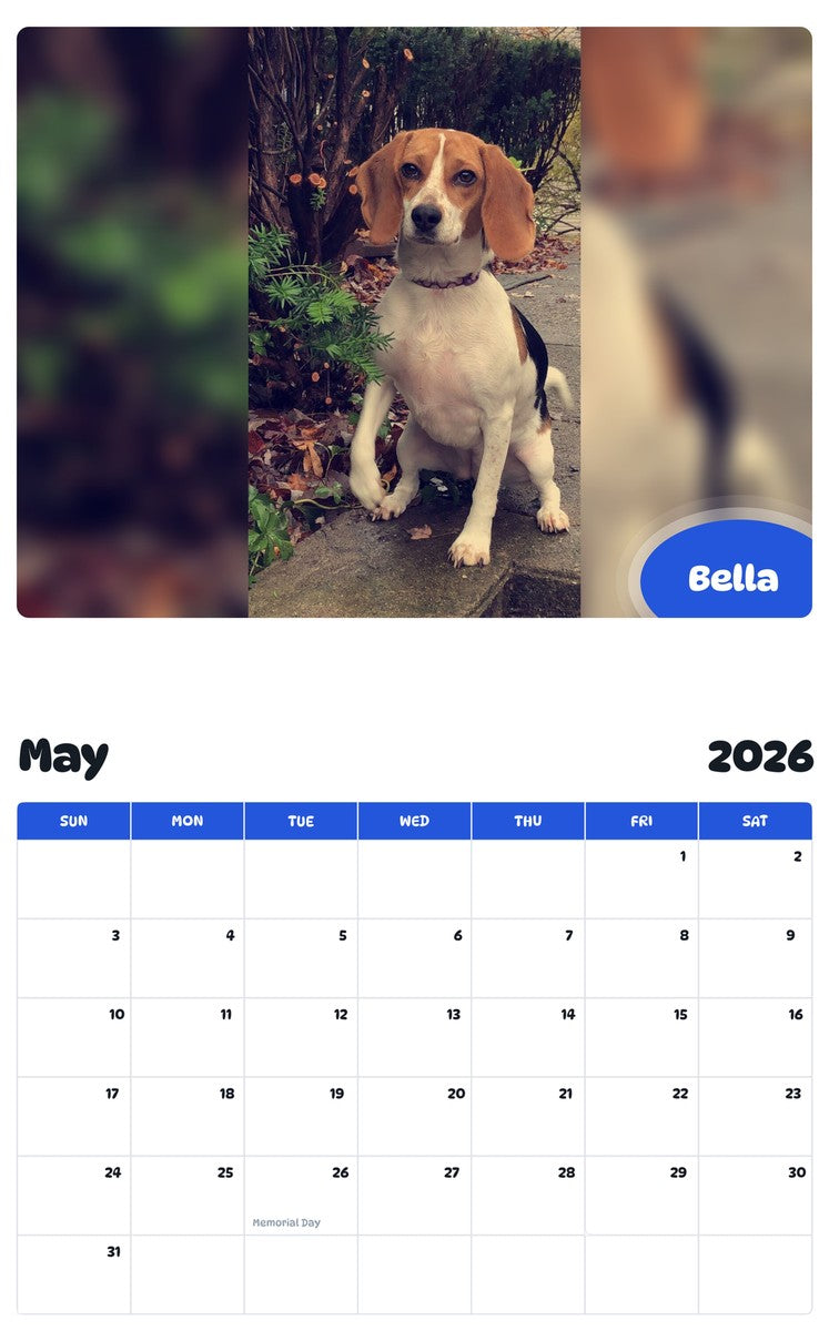 2026 - 2027 Bella - Pawidols Pet Calendar