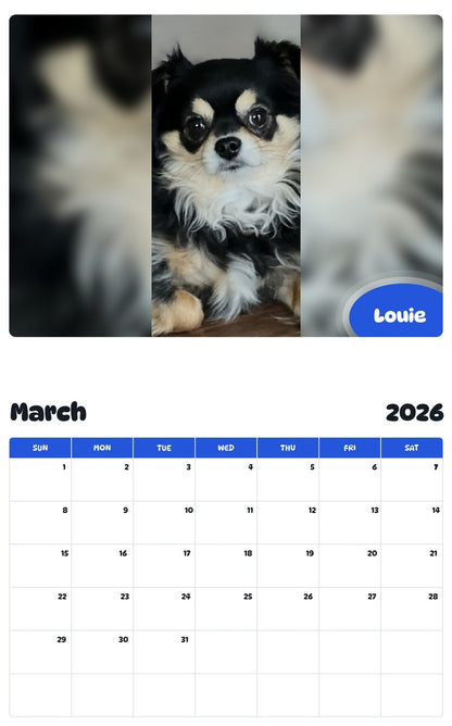 November 2025 - October 2026 Louie - Pawidols Pet Calendar