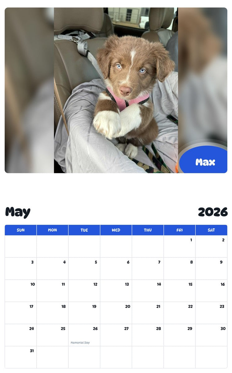 2026 - 2027 Max - Pawidols Pet Calendar