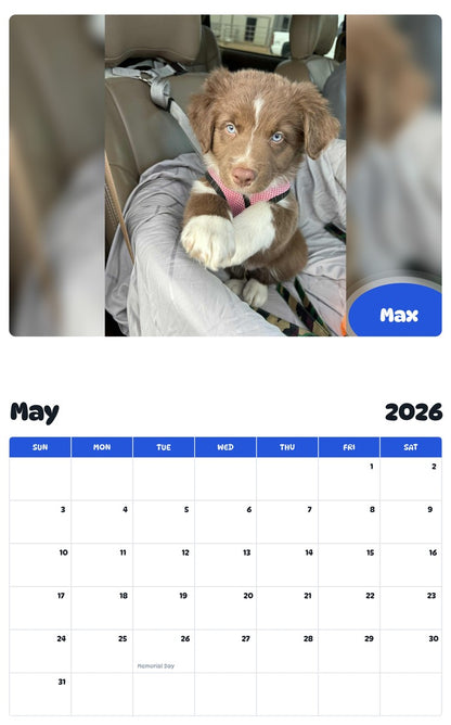 2026 - 2027 Max - Pawidols Pet Calendar