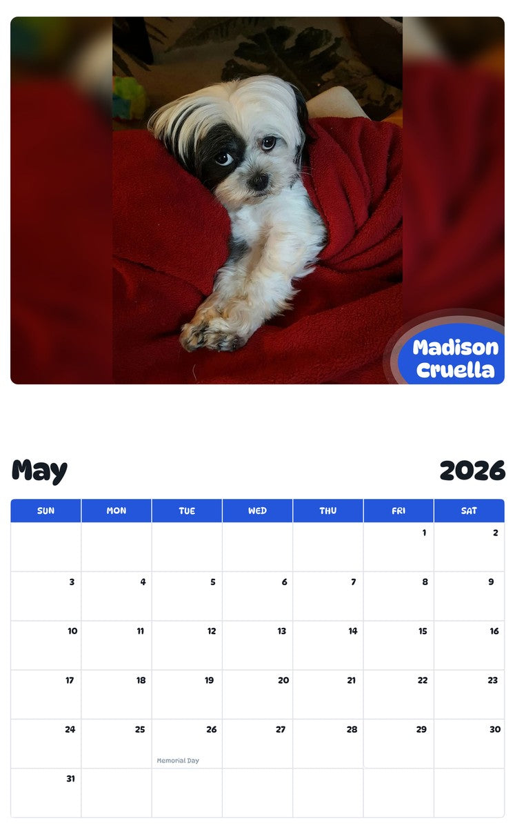 2026 - 2027 Madison Cruella - Pawidols Pet Calendar
