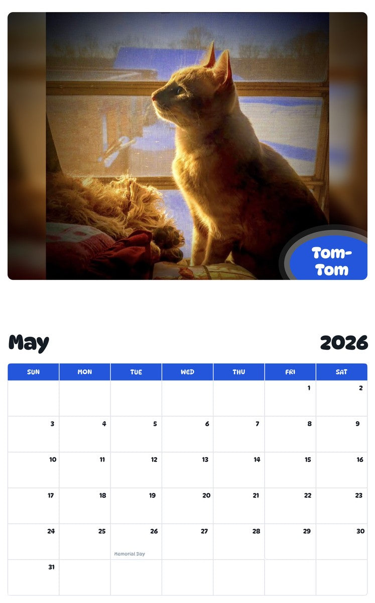 2026 - 2027 Tom-Tom - Pawidols Pet Calendar