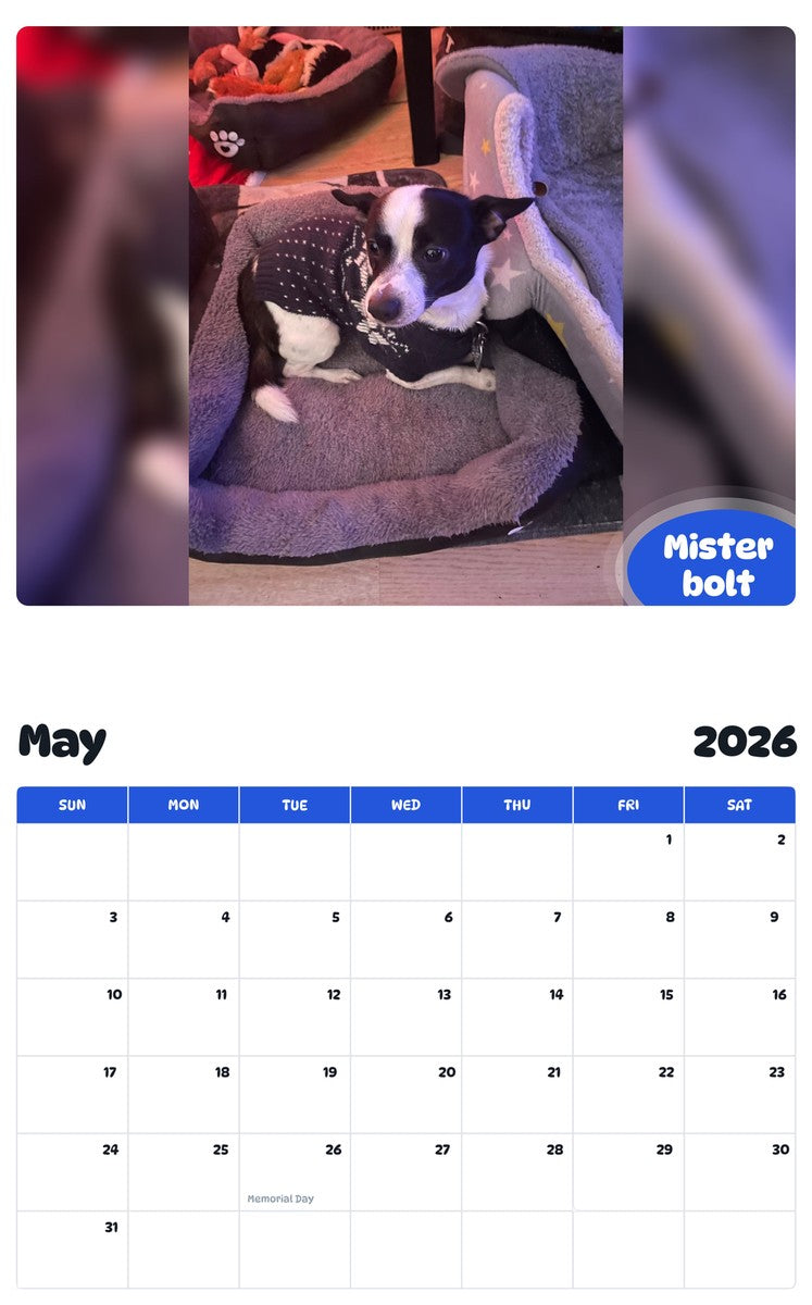 2026 - 2027 Mister bolt - Pawidols Pet Calendar