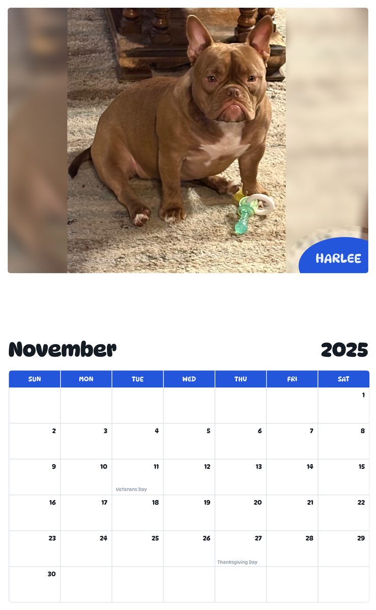 July 2025 - June 2026 Harlee - Pawidols Pet Calendar