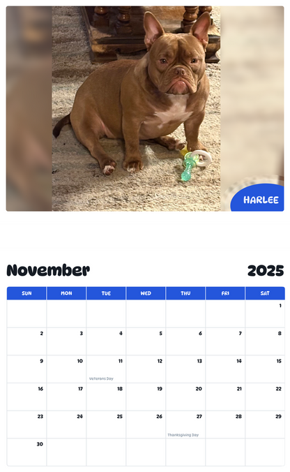 July 2025 - June 2026 Harlee - Pawidols Pet Calendar