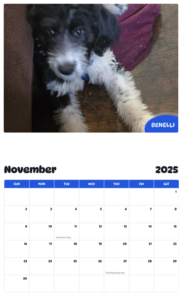 July 2025 - June 2026 Benelli - Pawidols Pet Calendar