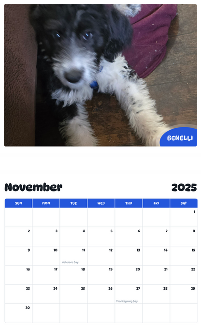 July 2025 - June 2026 Benelli - Pawidols Pet Calendar
