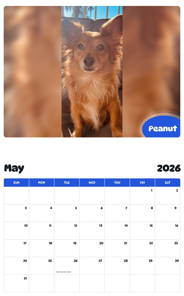 2026 - 2027 Peanut - Pawidols Pet Calendar