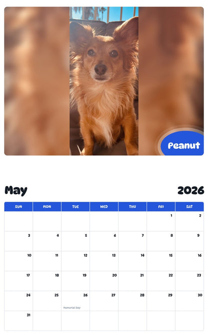 2026 - 2027 Peanut - Pawidols Pet Calendar