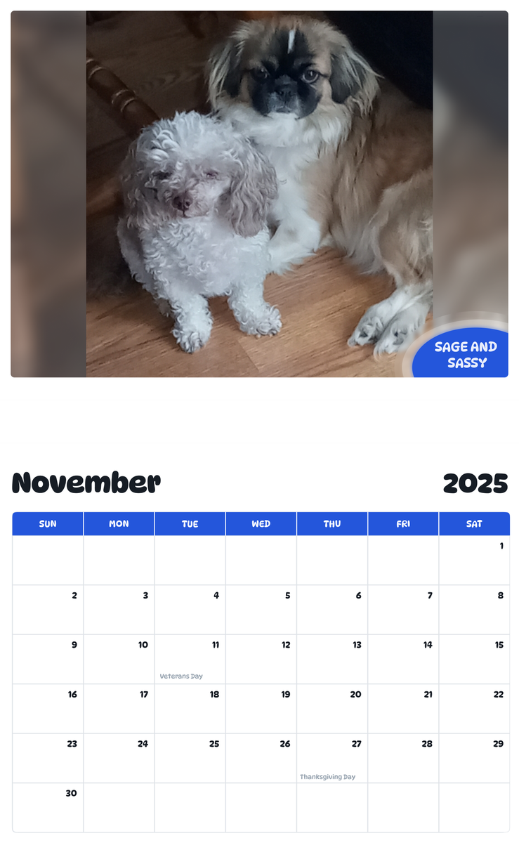 July 2025 - June 2026 Sage and Sassy - Pawidols Pet Calendar