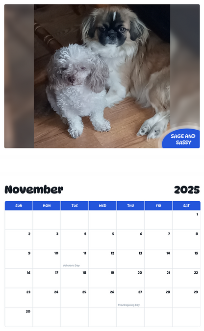 July 2025 - June 2026 Sage and Sassy - Pawidols Pet Calendar