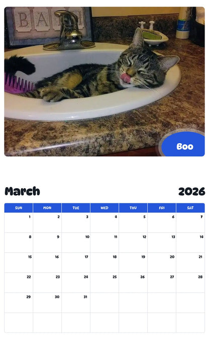 November 2025 - October 2026 Boo - Pawidols Pet Calendar