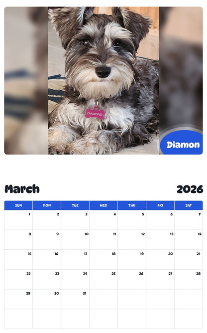 November 2025 - October 2026 Diamon - Pawidols Pet Calendar