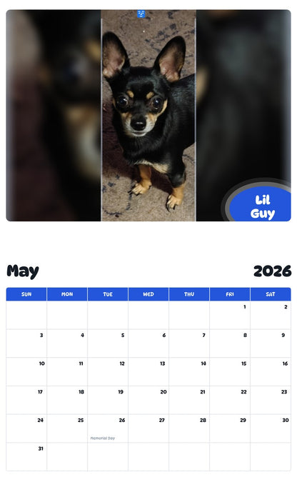 2026 - 2027 Lil Guy - Pawidols Pet Calendar