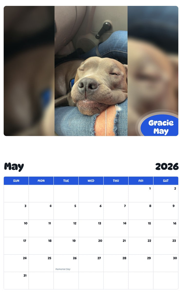 2026 - 2027 Gracie May - Pawidols Pet Calendar