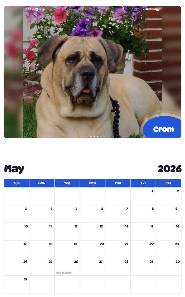 2026 - 2027 Crom - Pawidols Pet Calendar