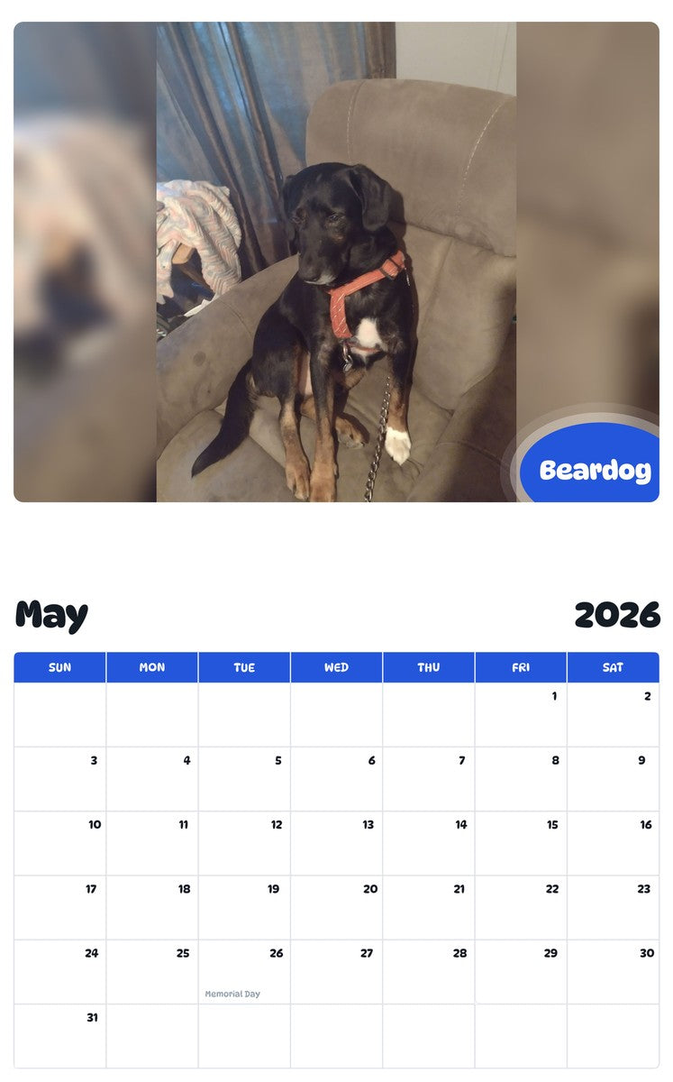 2026 - 2027 Beardog - Pawidols Pet Calendar