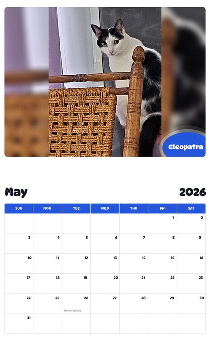 2026 - 2027 Cleopatra - Pawidols Pet Calendar
