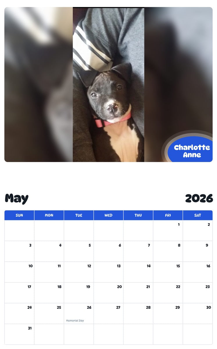 2026 - 2027 Charlotte Anne - Pawidols Pet Calendar