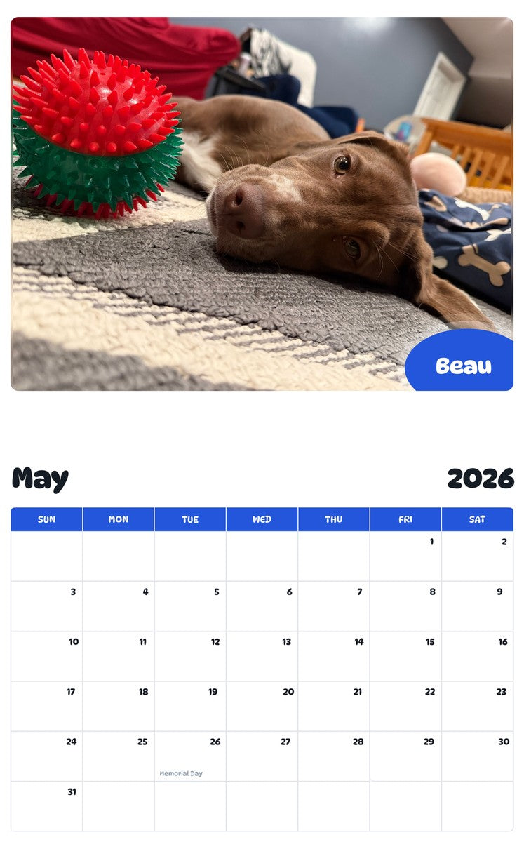 2026 - 2027 Beau - Pawidols Pet Calendar