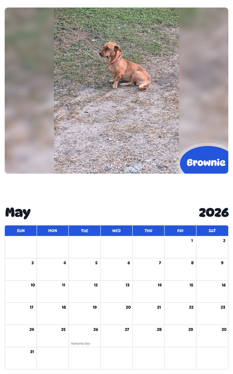 2026 - 2027 Brownie - Pawidols Pet Calendar