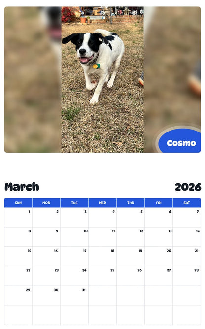 November 2025 - October 2026 Cosmo - Pawidols Pet Calendar
