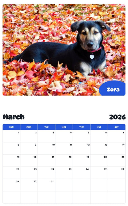 November 2025 - October 2026 Zora - Pawidols Pet Calendar