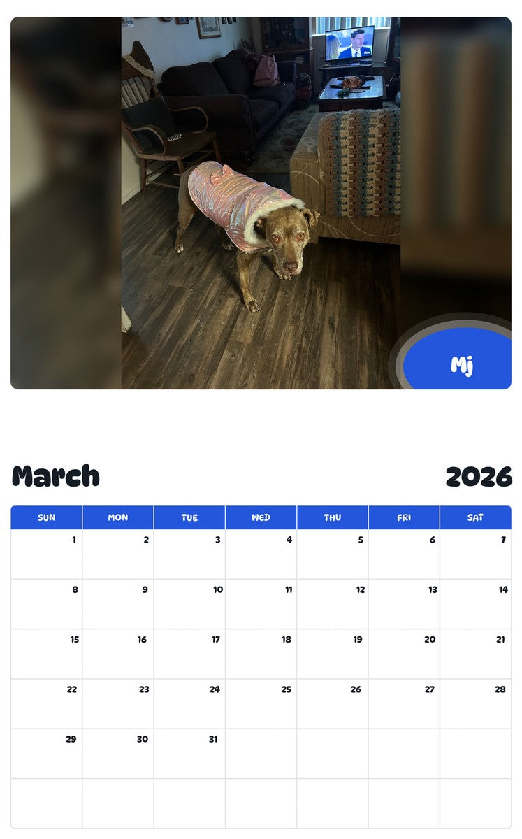 November 2025 - October 2026 Mj - Pawidols Pet Calendar