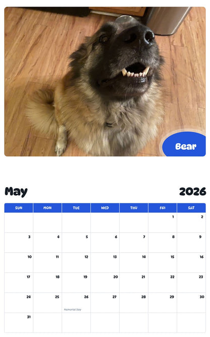 2026 - 2027 Bear - Pawidols Pet Calendar