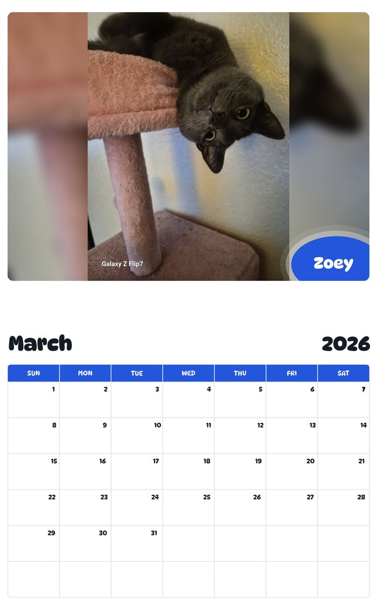 November 2025 - October 2026 Zoey - Pawidols Pet Calendar