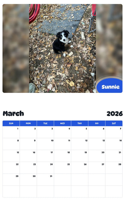 November 2025 - October 2026 Sunnie - Pawidols Pet Calendar