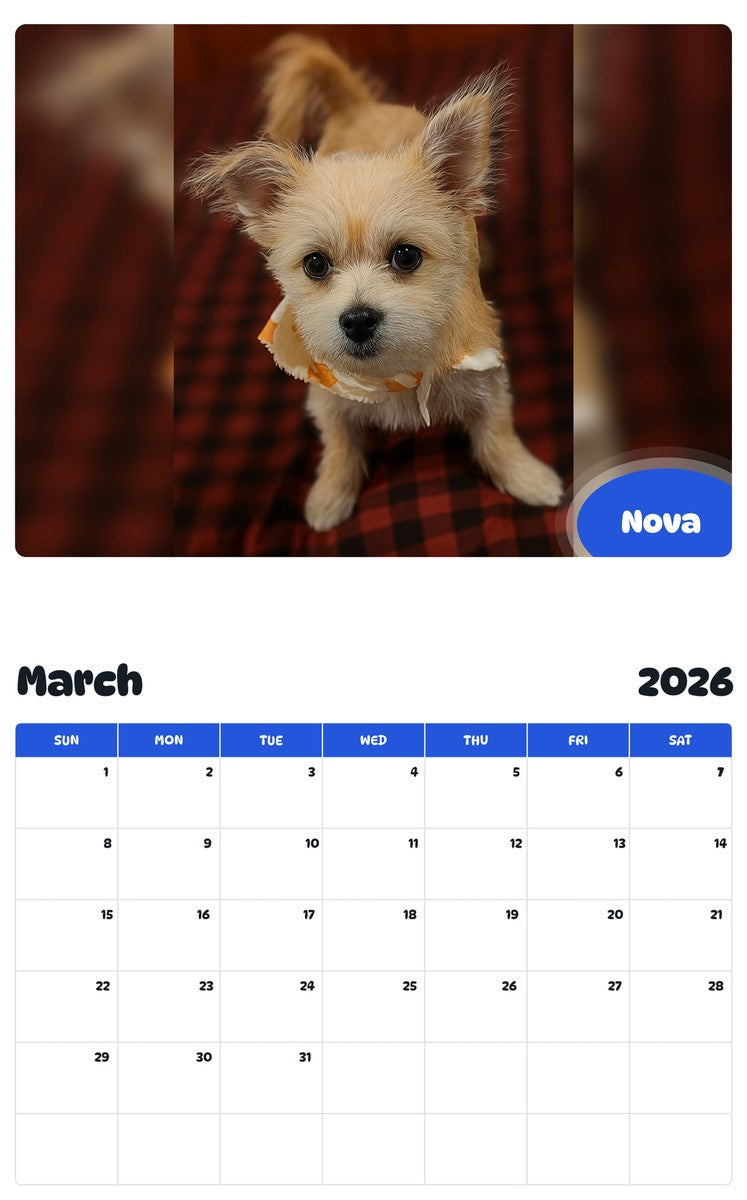 November 2025 - October 2026 Nova - Pawidols Pet Calendar