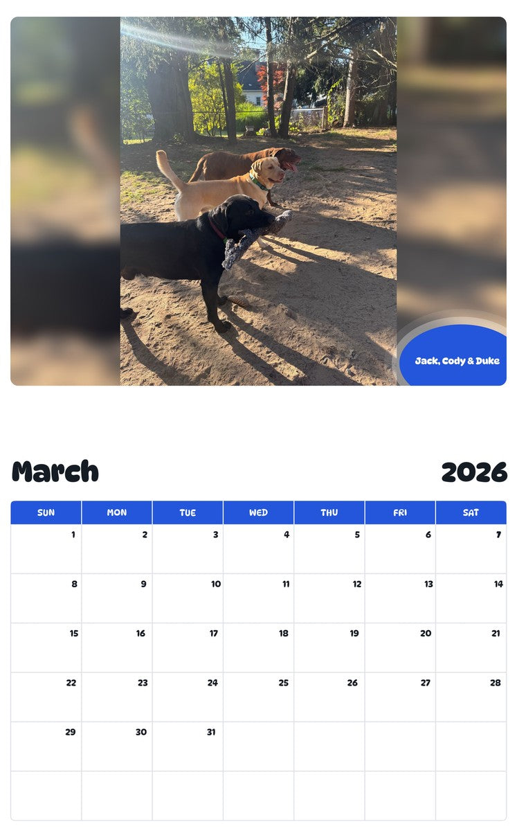 November 2025 - October 2026 Jack, Cody & Duke - Pawidols Pet Calendar