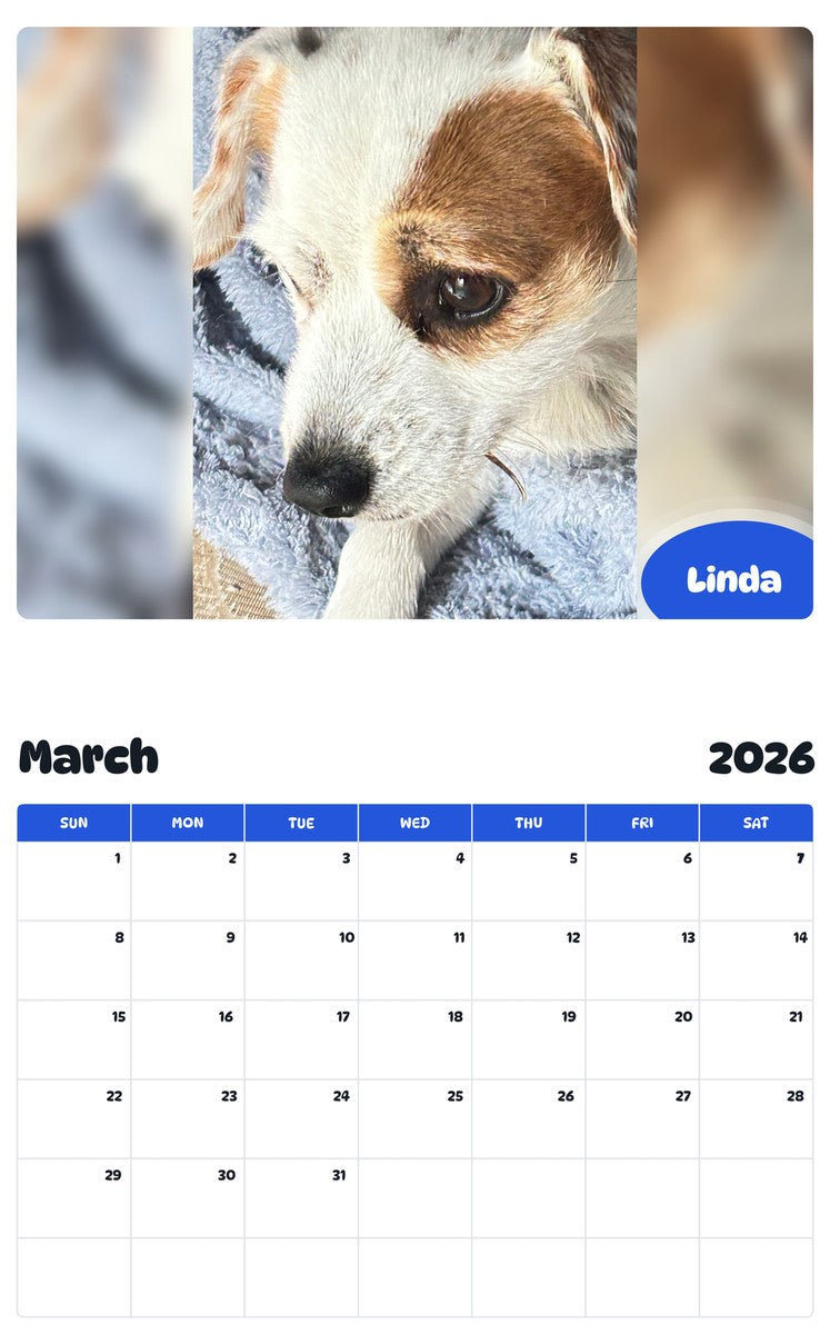 November 2025 - October 2026 Linda - Pawidols Pet Calendar