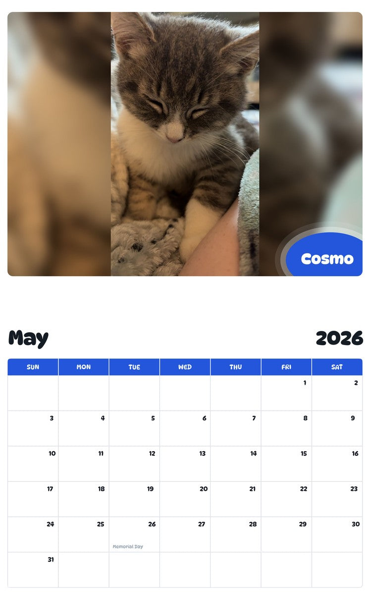 2026 - 2027 Cosmo - Pawidols Pet Calendar