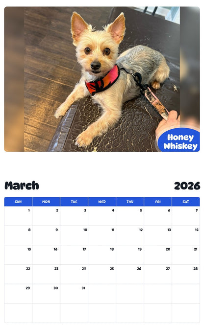 November 2025 - October 2026 Honey Whiskey - Pawidols Pet Calendar