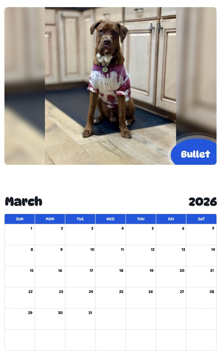 November 2025 - October 2026 Bullet - Pawidols Pet Calendar