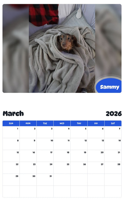 November 2025 - October 2026 Sammy - Pawidols Pet Calendar