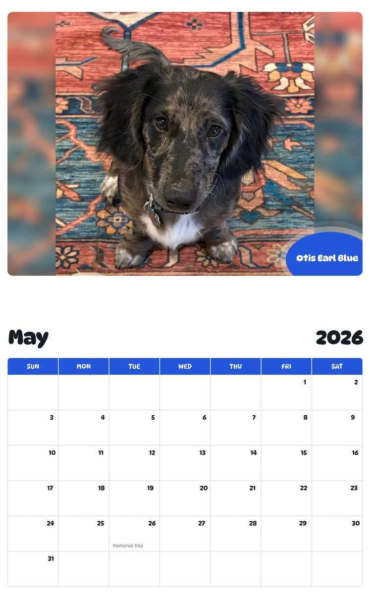 2026 - 2027 Otis Earl Blue - Pawidols Pet Calendar