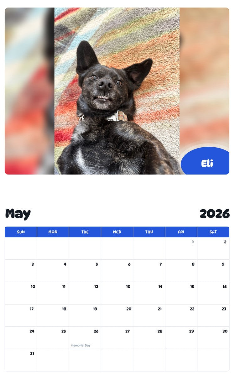 2026 - 2027 Eli - Pawidols Pet Calendar
