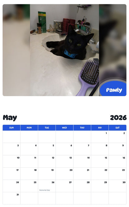 2026 - 2027 Pawly - Pawidols Pet Calendar
