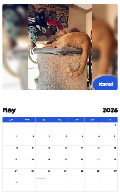 2026 - 2027 Karat - Pawidols Pet Calendar