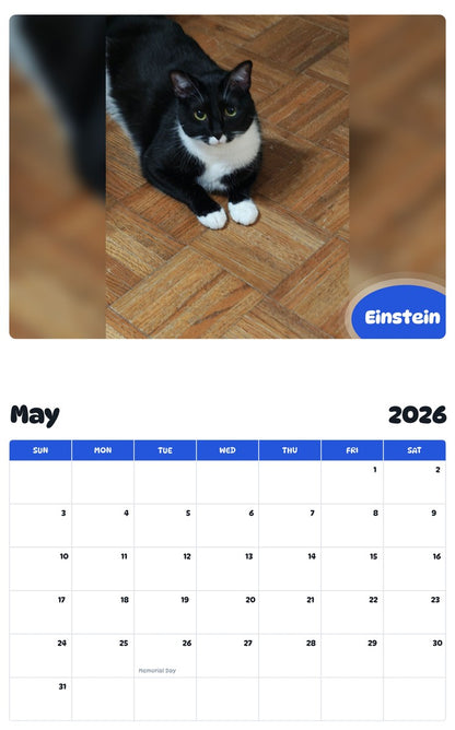 2026 - 2027 Einstein - Pawidols Pet Calendar